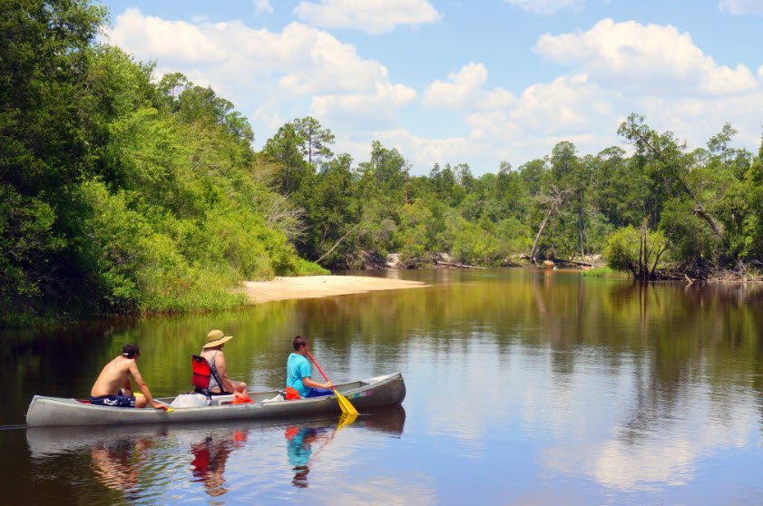 Blackwater River State Park, Florida, USA